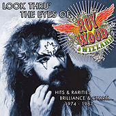 WOOD ROY - Look thru the eyes of Roy Woo
