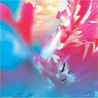 YOUNG GODS - Lucidogen