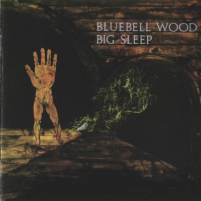 BIG SLEEP - Bluebell wood