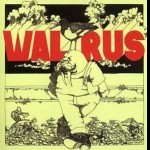 WALRUS  - Walrus 