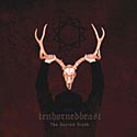 TENHORNEDBEAST - Sacred truth           