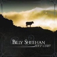 SHEEHAN BILLY - Holy Cow!               