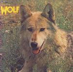 DARRYL WAY´s WOLF - Canis lupus
