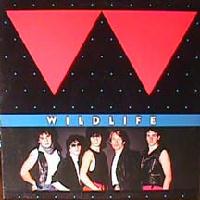 WILDLIFE - Wildlife                     
