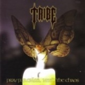 TRIBE - Pray  For  Calm...