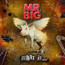 MR.BIG - What If                            
