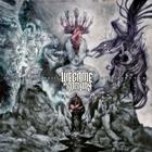 WE CAME AS ROMANS - Understanding what we ve grown     