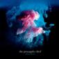 PINEAPPLE THIEF - All the wars