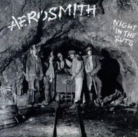 AEROSMITH - Night in the ruts