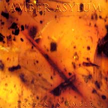 AMBER ASYLUM - Frozen in amber