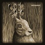 BEEHOOVER - Heavy ZOO