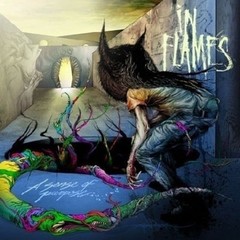 IN FLAMES - A sense of purpose - CD+DVD