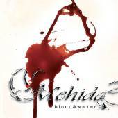 MEHIDA - Blood and water