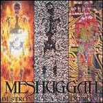 MESHUGGAH - Destroy erase improve