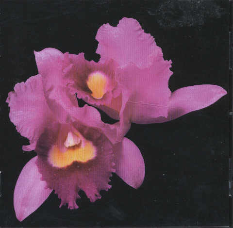 OPETH - Orchid