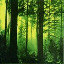 THY SERPENT - Forests of witchery